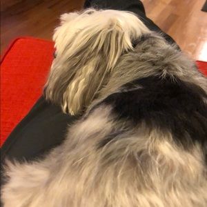 Meet your Posher, Billy